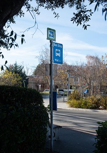 A bus stop sign is on a pole on the side of a road.